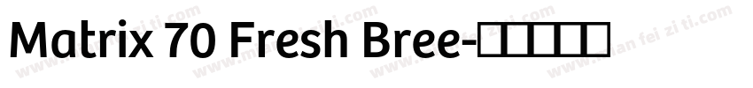 Matrix 70 Fresh Bree字体转换